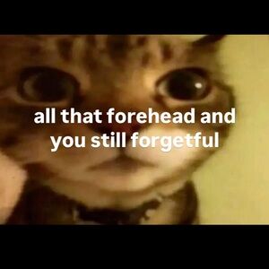 Meet your Posher, Manuel